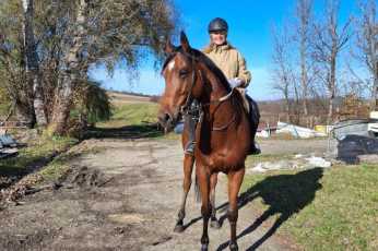 25e23dfc-26cb-4b6c-88a9-cea109769369