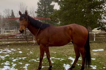 WhatsApp-Image-2026-01-23-at-12.56.48