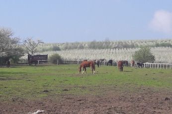 vybehy-4