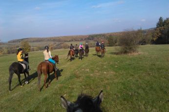 jezdeni-6