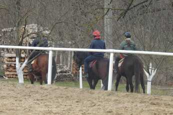 267fc80a9bef4c95b37124a7b7273eda