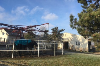 8dddad9406ef4a31965a50707a6cf0b3