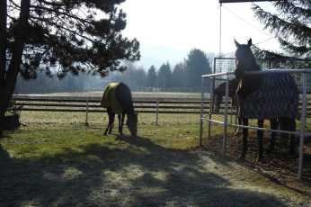 d3a0cb5c938f46869ad3debdead905ba