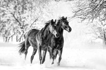 e5a9a81e8031410da049ae138f5038e8