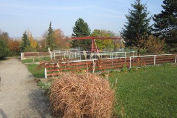 nase-staje-8