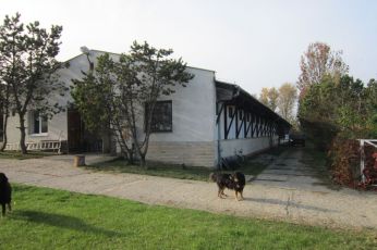 nase-staje-10