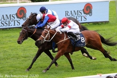 Armitago-1
