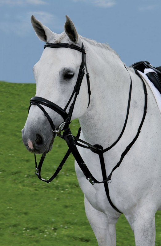 Jezdecké potřeby, potřeby pro koně a jezdectví Piruch.cz