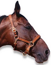 Jezdecké potřeby, potřeby pro koně a jezdectví Piruch.cz