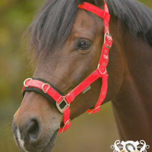 OHLÁVKA lonžovací AWA