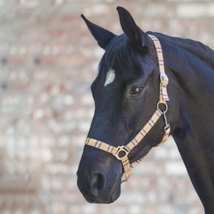 OHLÁVKA nylonová káro VÝPRODEJ