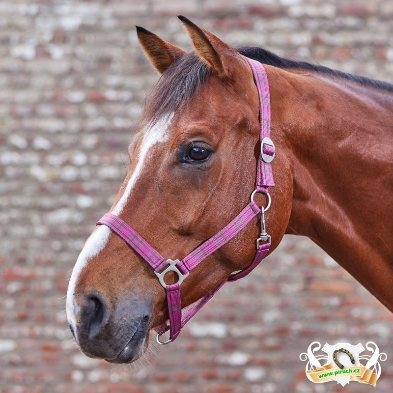 Jezdecké potřeby, potřeby pro koně a jezdectví Piruch.cz