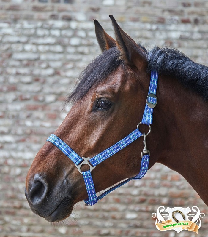 Jezdecké potřeby, potřeby pro koně a jezdectví Piruch.cz
