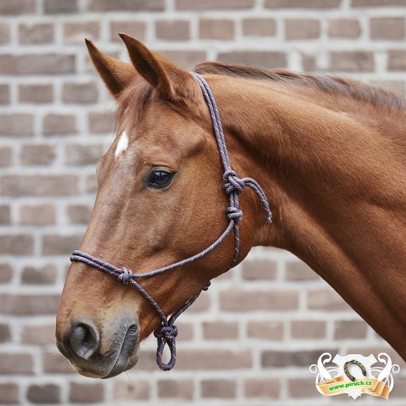 Jezdecké potřeby, potřeby pro koně a jezdectví Piruch.cz