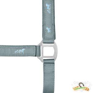 OHLÁVKA podložená s koňmi