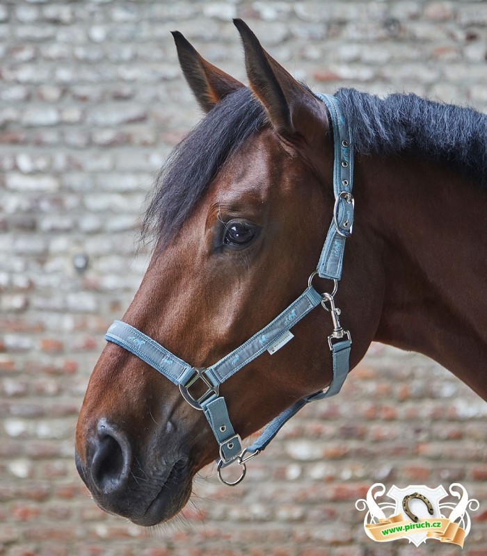 Jezdecké potřeby, potřeby pro koně a jezdectví Piruch.cz