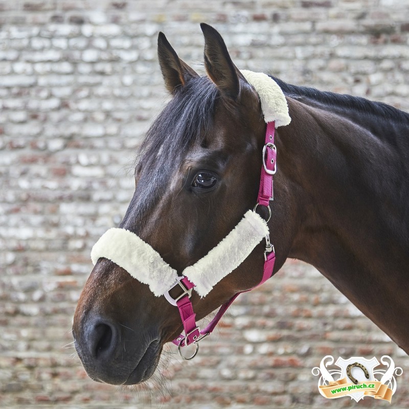 Jezdecké potřeby, potřeby pro koně a jezdectví Piruch.cz