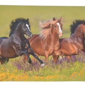 Položka pod talíř