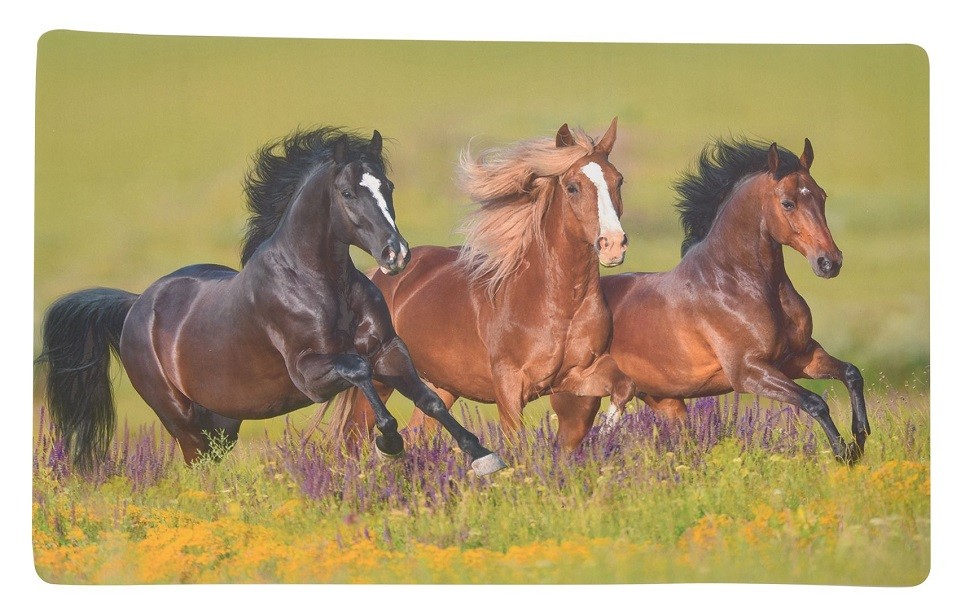 Jezdecké potřeby, potřeby pro koně a jezdectví Piruch.cz