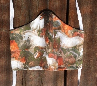 Jezdecké potřeby, potřeby pro koně a jezdectví Piruch.cz