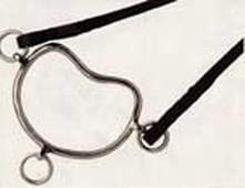 Jezdecké potřeby, potřeby pro koně a jezdectví Piruch.cz