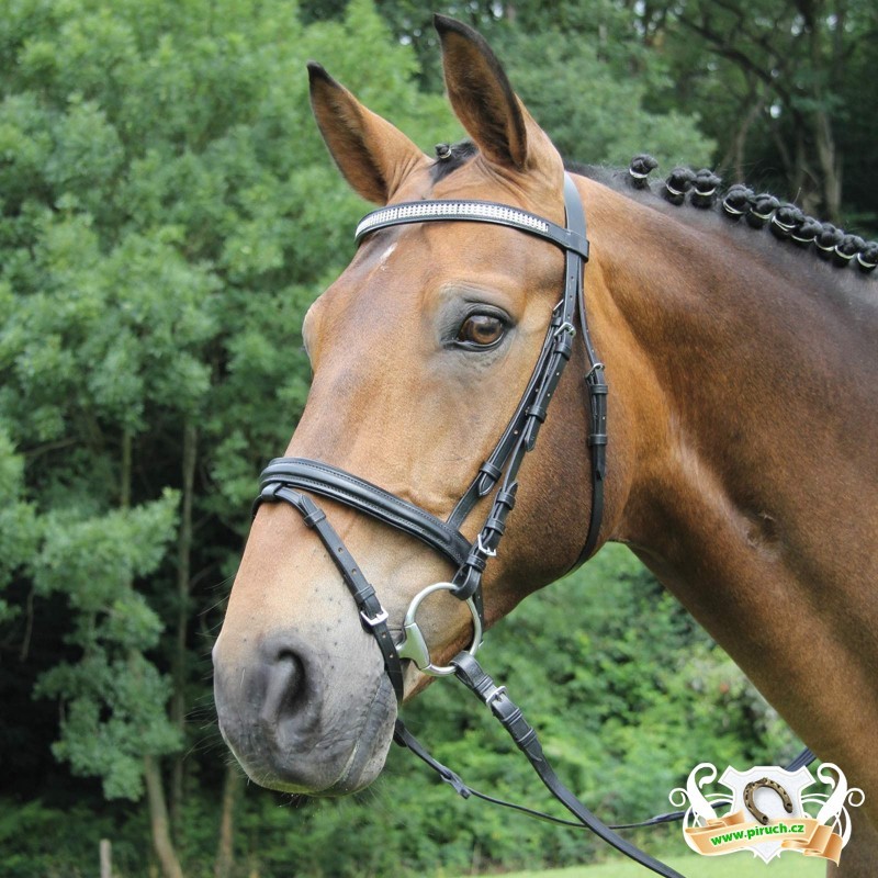 Jezdecké potřeby, potřeby pro koně a jezdectví Piruch.cz