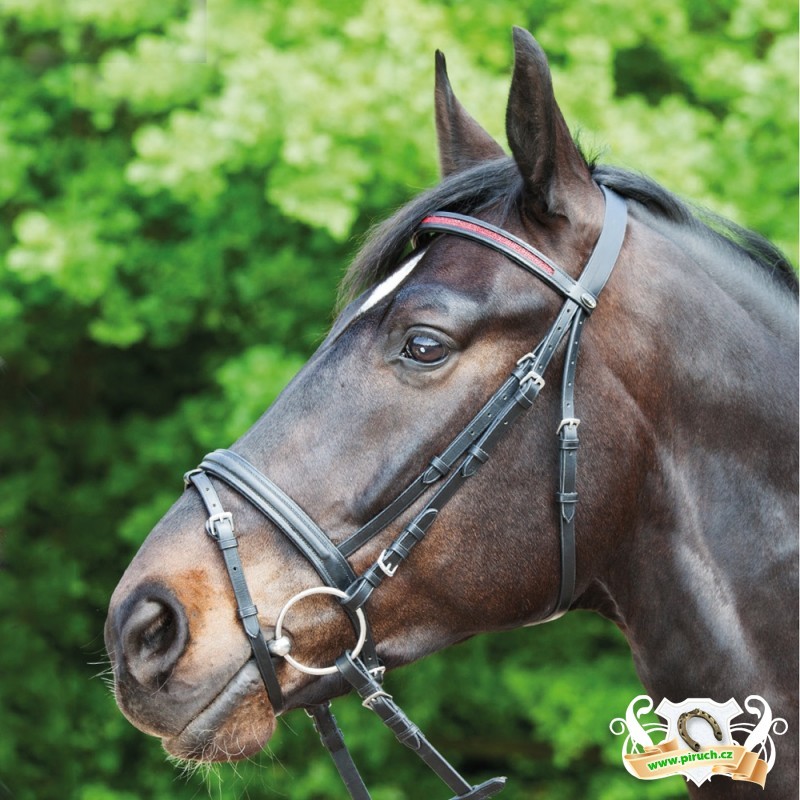 Jezdecké potřeby, potřeby pro koně a jezdectví Piruch.cz