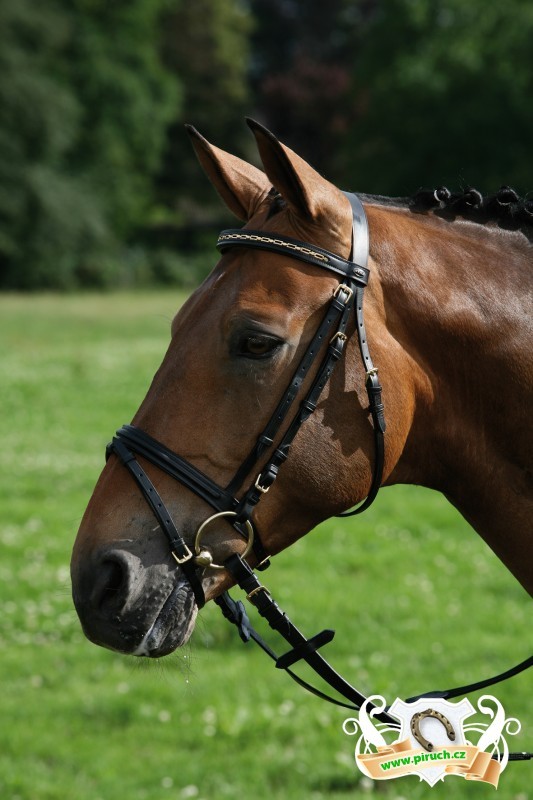 Jezdecké potřeby, potřeby pro koně a jezdectví Piruch.cz
