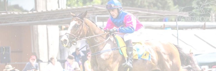 Jezdecké potřeby, potřeby pro koně a jezdectví Piruch.cz