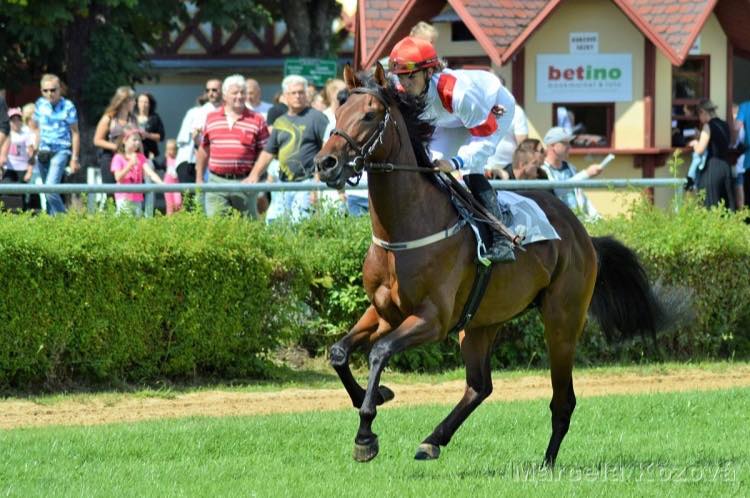 Jezdecké potřeby, potřeby pro koně a jezdectví Piruch.cz