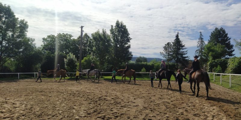 Jezdecké stáje Piruch.cz
