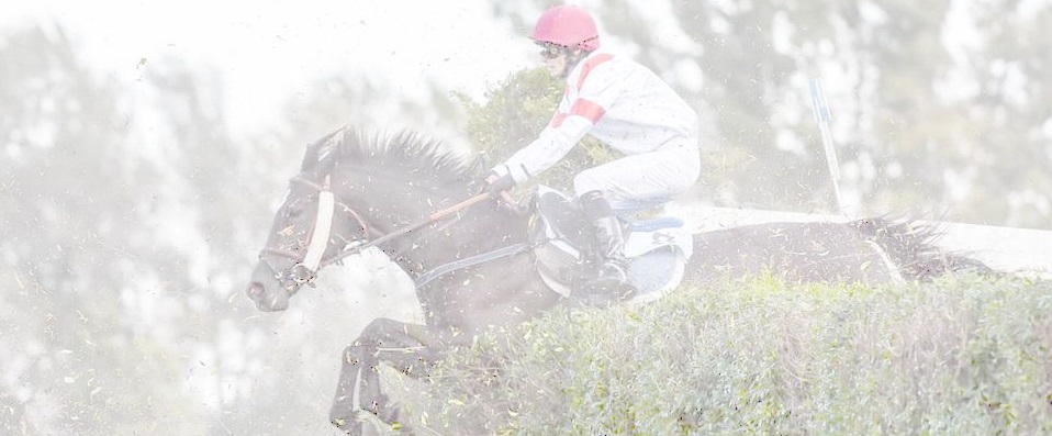 Jezdecké potřeby, potřeby pro koně a jezdectví Piruch.cz