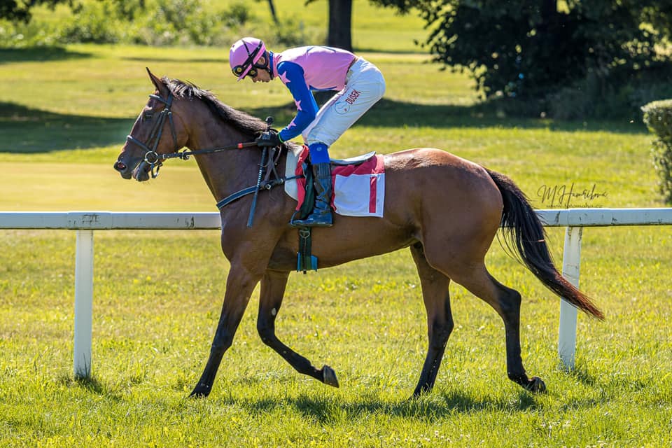 Jezdecké potřeby, potřeby pro koně a jezdectví Piruch.cz