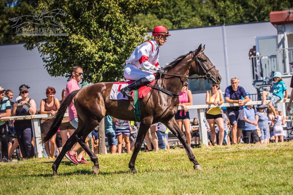 Jezdecké potřeby, potřeby pro koně a jezdectví Piruch.cz