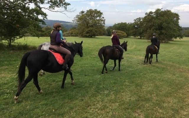 Volnočasové aktivity Piruch.cz
