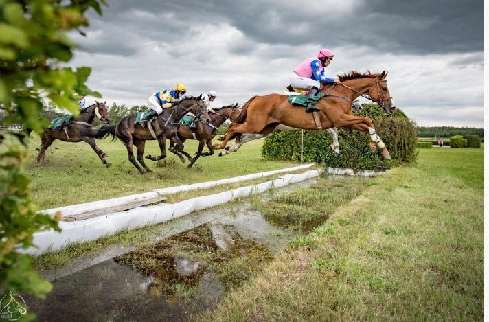 Jezdecké potřeby, potřeby pro koně a jezdectví Piruch.cz