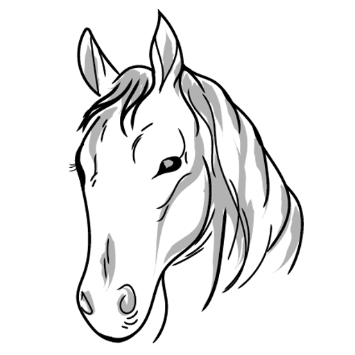 Jezdecké potřeby, potřeby pro koně a jezdectví Piruch.cz