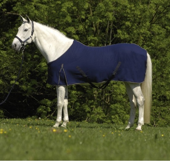 Jezdecké potřeby, potřeby pro koně a jezdectví Piruch.cz