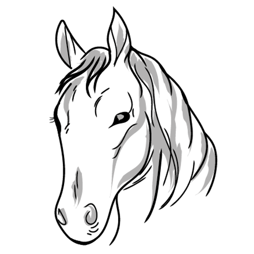 Jezdecké potřeby, potřeby pro koně a jezdectví Piruch.cz