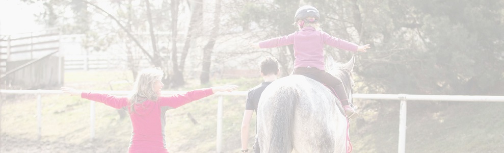 Jezdecké potřeby, potřeby pro koně a jezdectví Piruch.cz