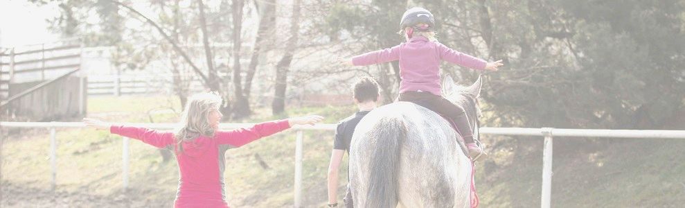 Jezdecké potřeby, potřeby pro koně a jezdectví Piruch.cz