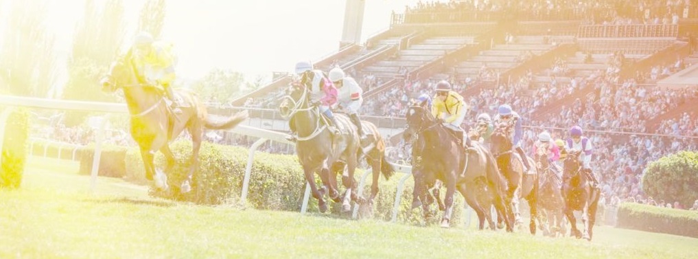 Jezdecké potřeby, potřeby pro koně a jezdectví Piruch.cz