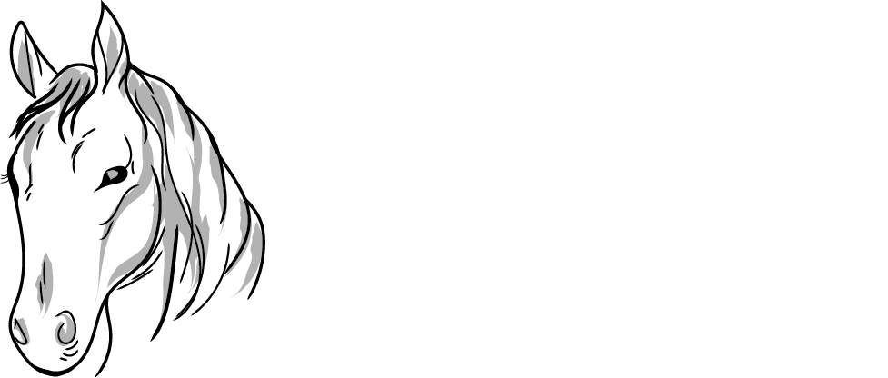 Jezdecké potřeby, potřeby pro koně a jezdectví Piruch.cz