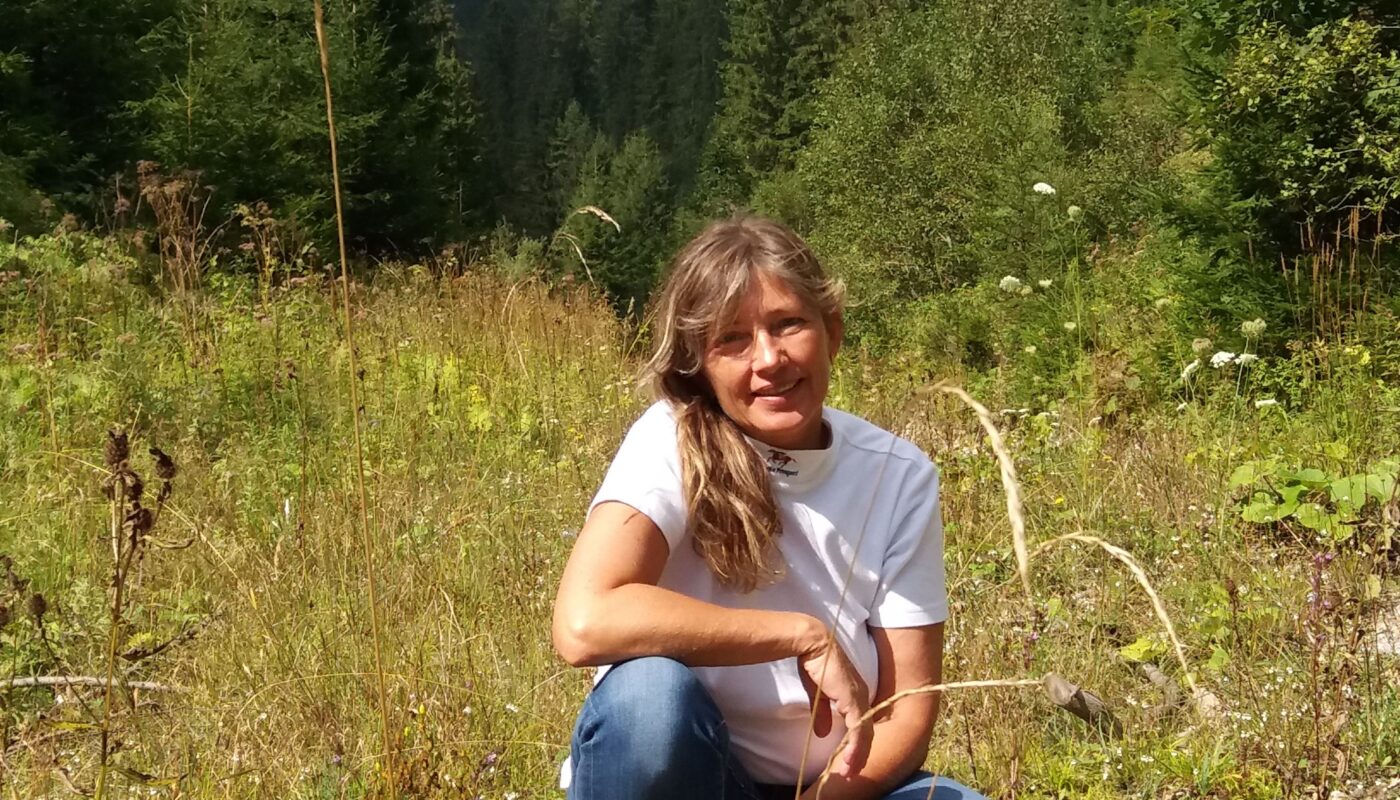 Jezdecké potřeby, potřeby pro koně a jezdectví Piruch.cz