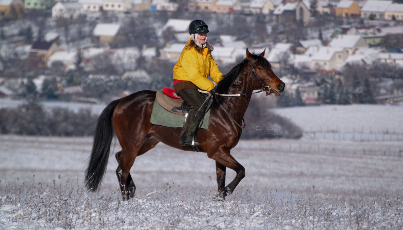 Jezdecké potřeby, potřeby pro koně a jezdectví Piruch.cz