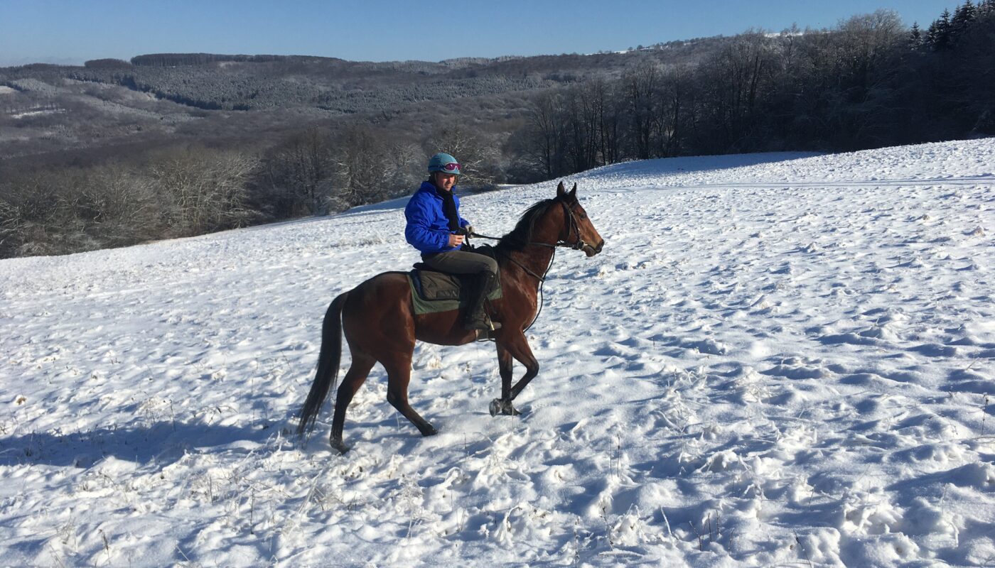 Jezdecké potřeby, potřeby pro koně a jezdectví Piruch.cz