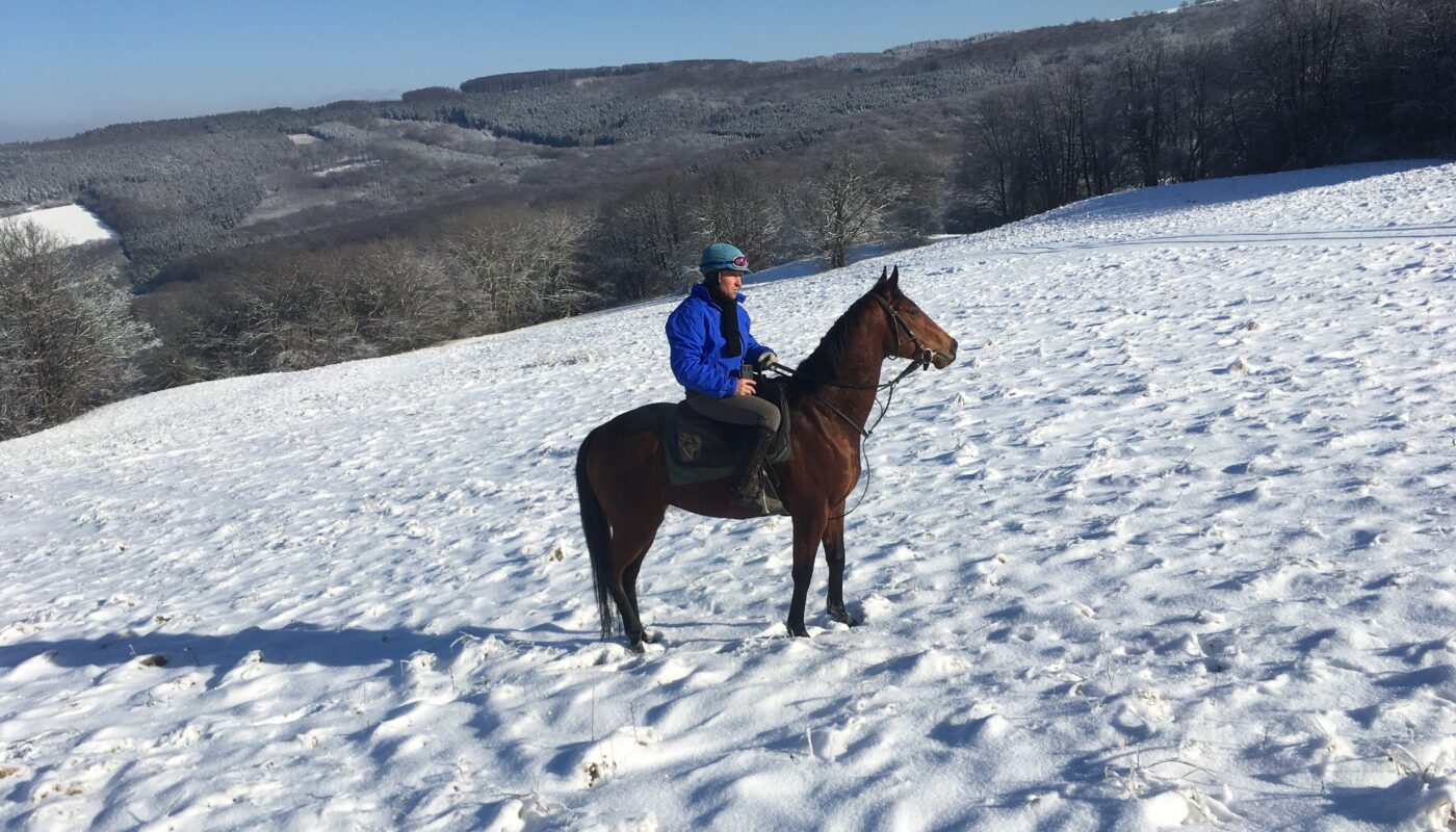 Jezdecké potřeby, potřeby pro koně a jezdectví Piruch.cz