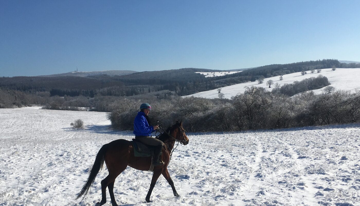 Jezdecké potřeby, potřeby pro koně a jezdectví Piruch.cz