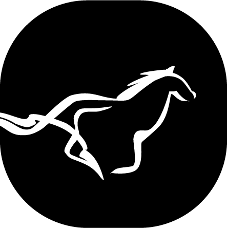 Jezdecké potřeby, potřeby pro koně a jezdectví Piruch.cz