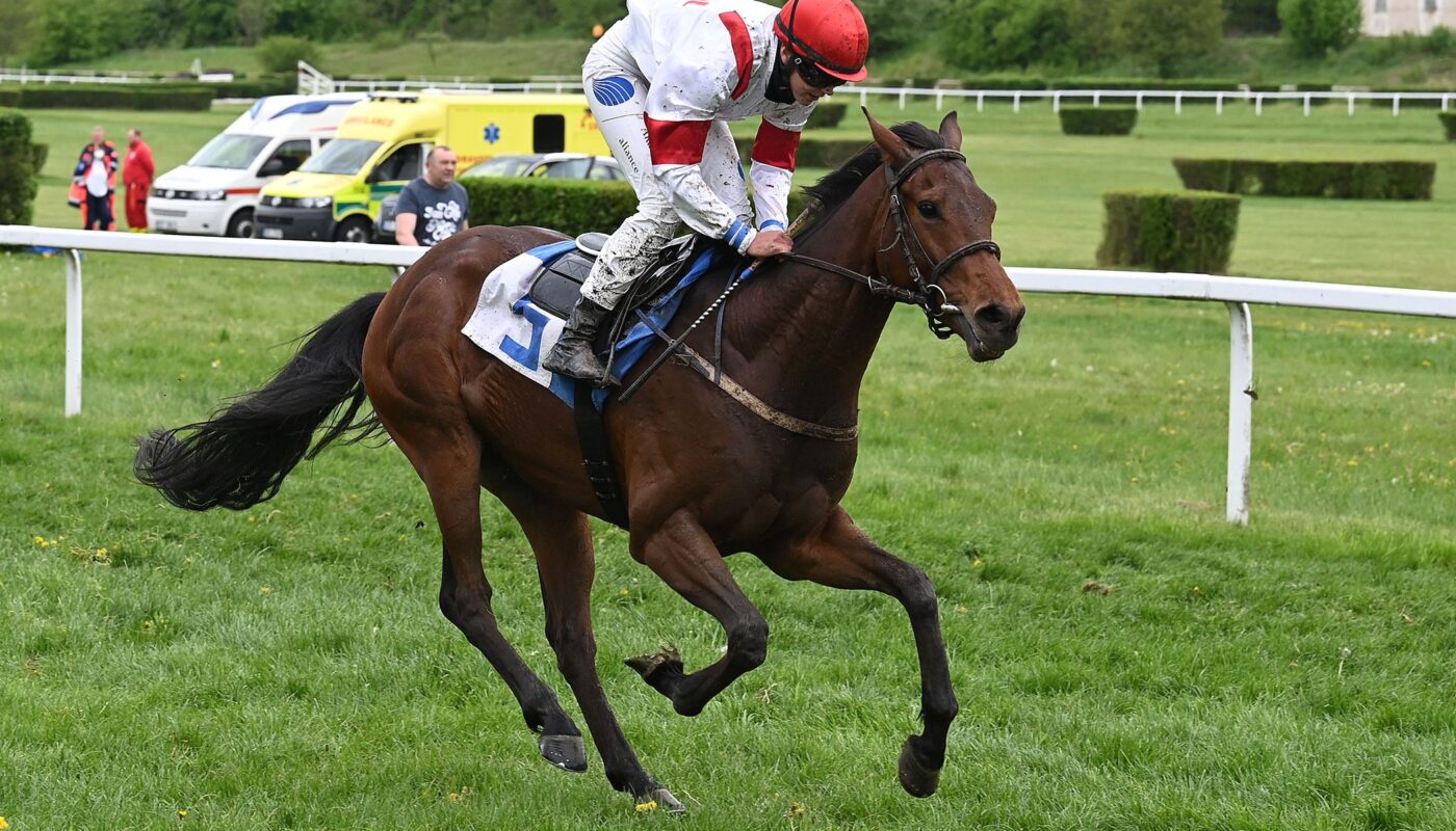 Jezdecké potřeby, potřeby pro koně a jezdectví Piruch.cz